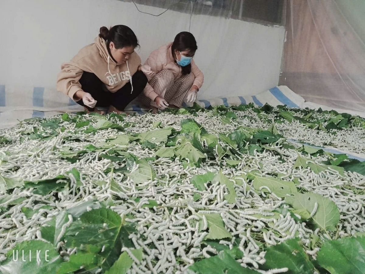 
Bi Ka Să K’Hà (cau ờ pơn chèo glòm muh mat) gam ai tu in sa