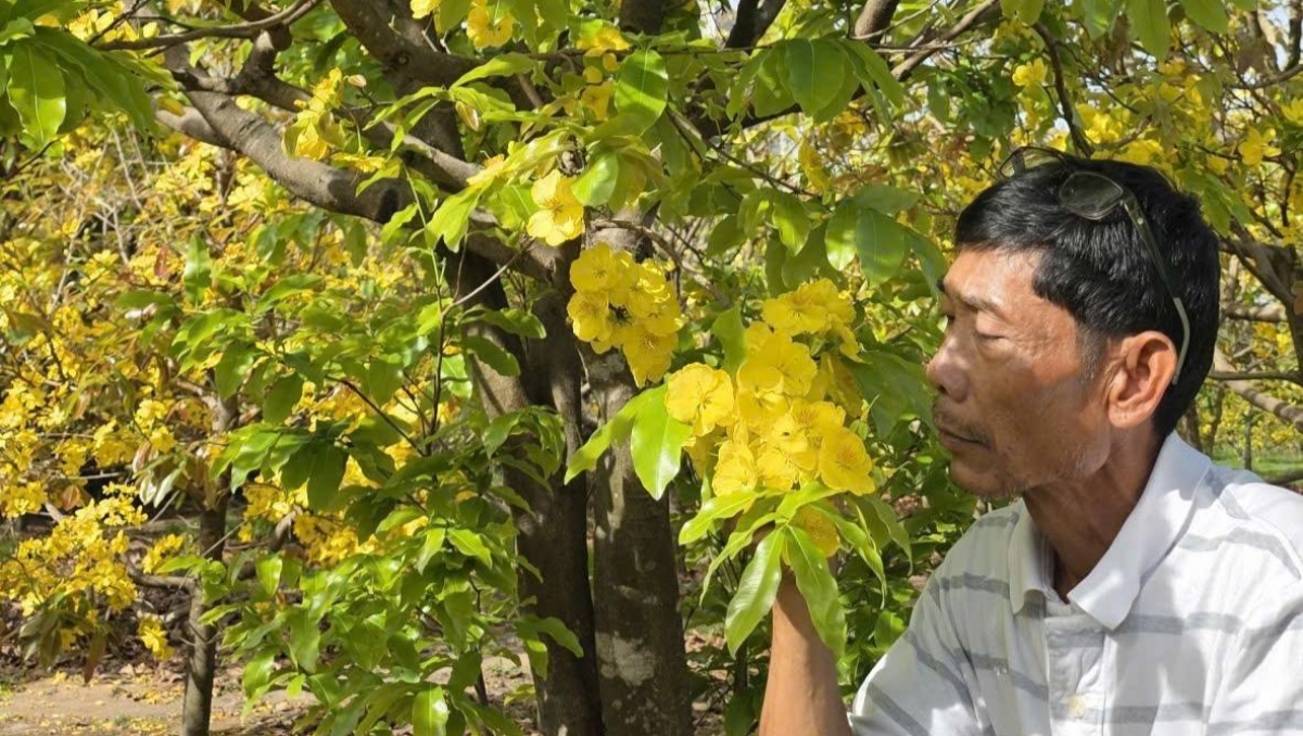 Cau tàm ƀòn Hàm Hiệp pơnyờ să ngan bè sơntìl tờm bơkào mai kwơ màng bal mờ bơta niam krơi is