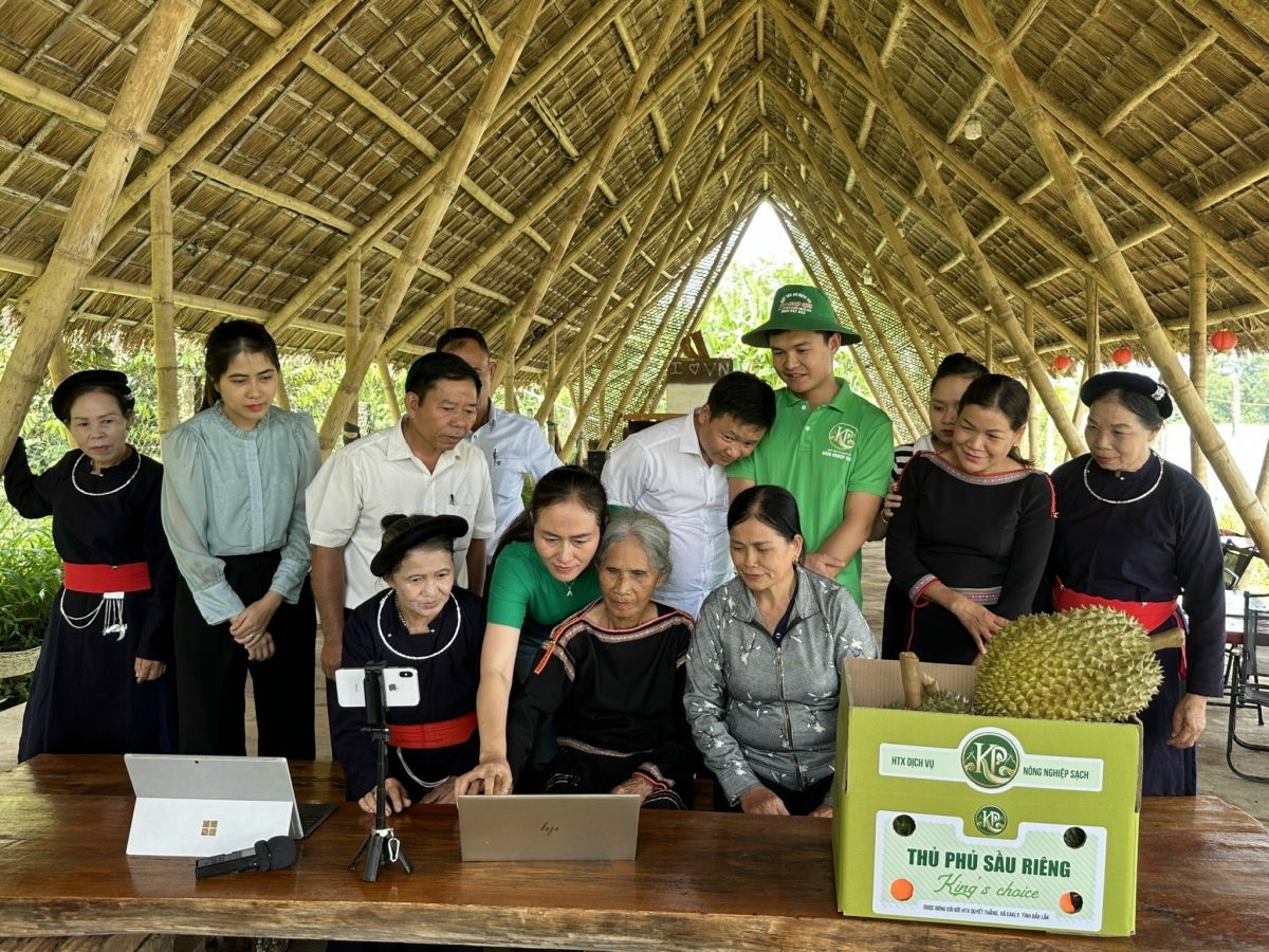 
Livestream tĕch sầu riêng kơtă lơ̆m mạng tơpôl tơ̆ Dắk Lắk