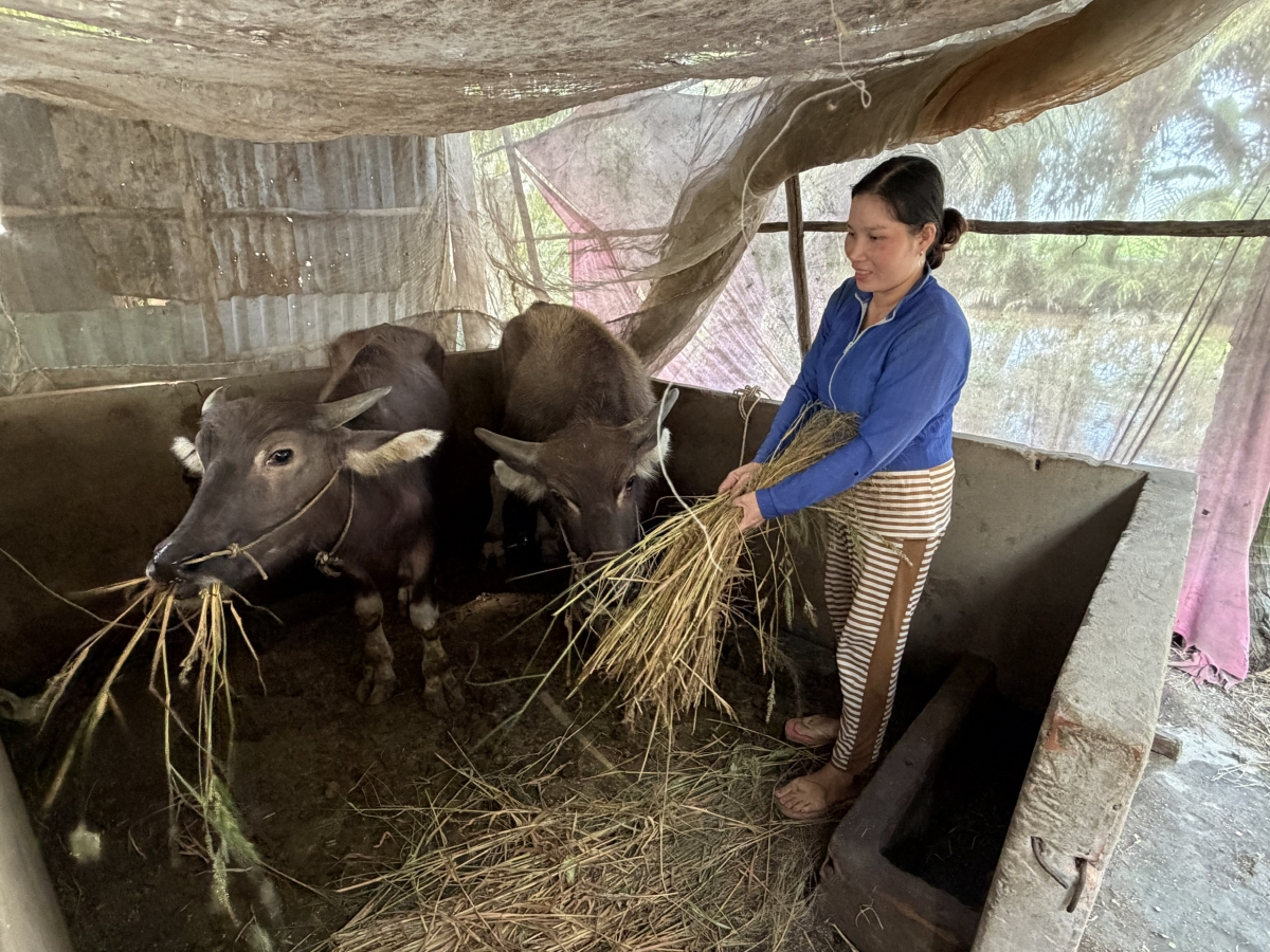 Mô hình mở ra hy vọng thoát nghèo bền vững cho người dân vùng khó khăn