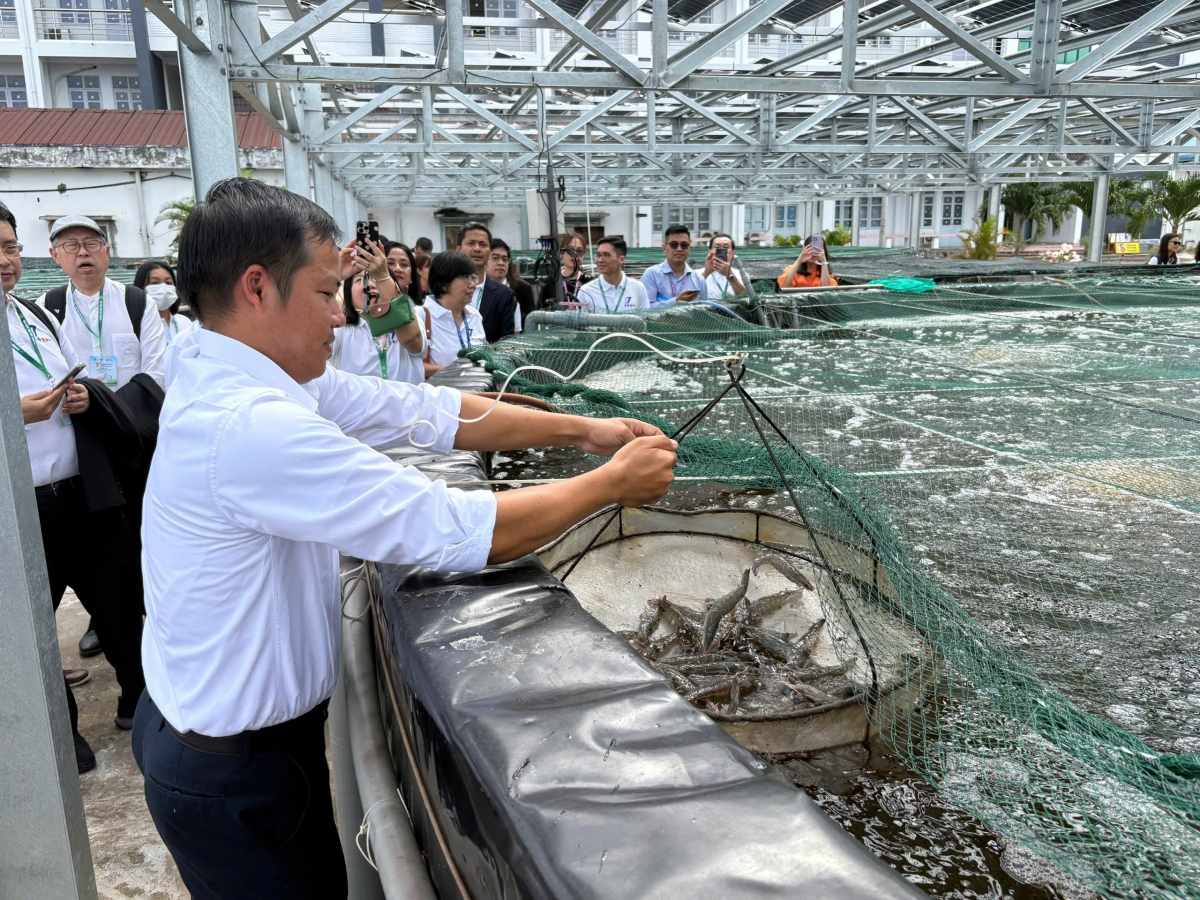 Mô hình “Nuôi tôm chân trắng siêu thâm canh trong hệ thống tuần hoàn kết hợp đa loài CTU-RAS” do Đại học Cần Thơ nghiên cứu, thực hiện