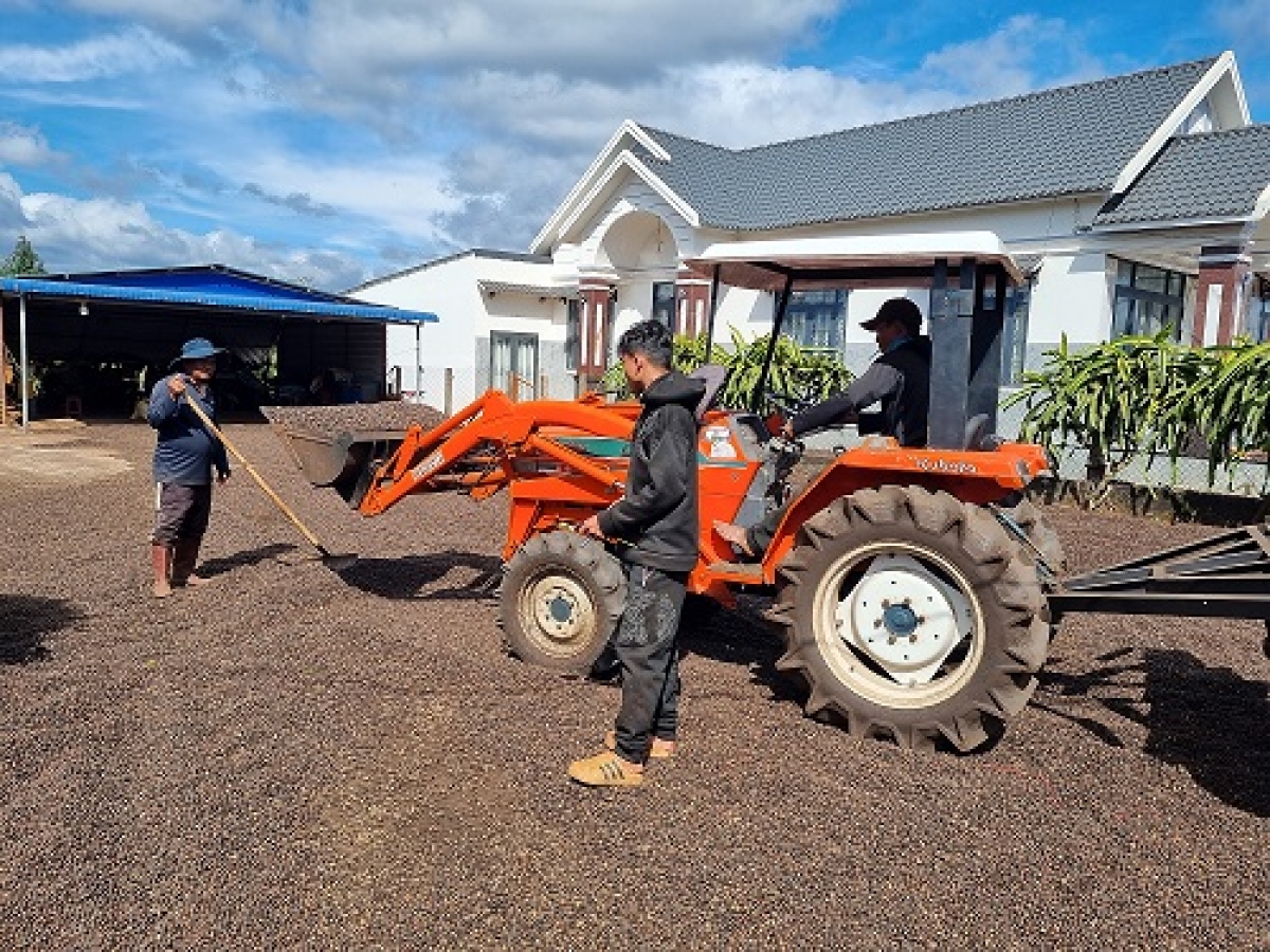 Ồng Hnir bal mờ ală kòn gam ìs kơphe