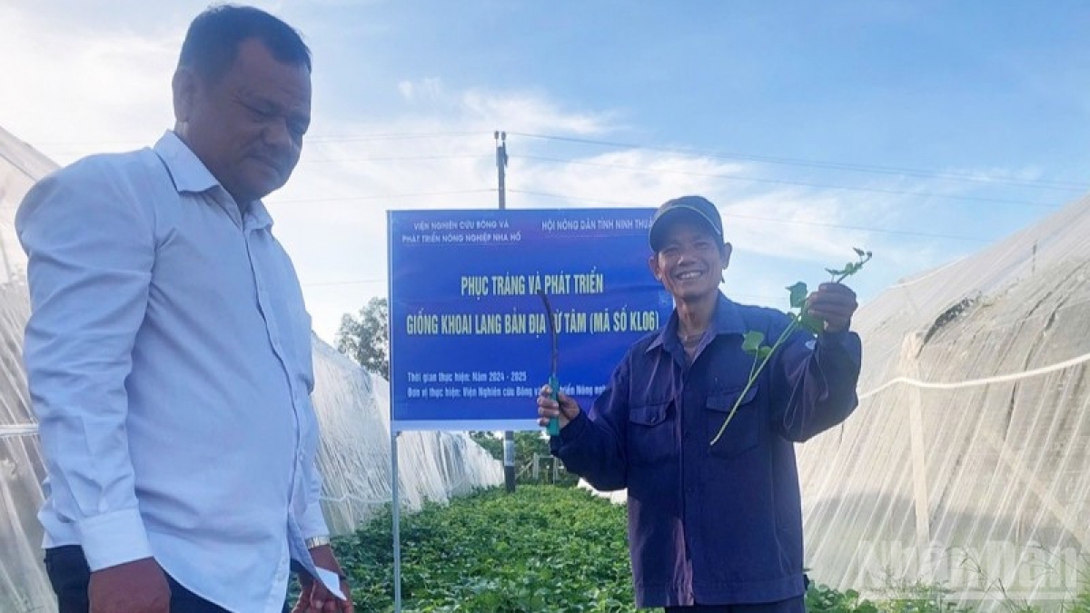 Bei bhong Từ Tâm (mã số KL06) tại xã Ninh Phước, tỉnh Khánh Hòa