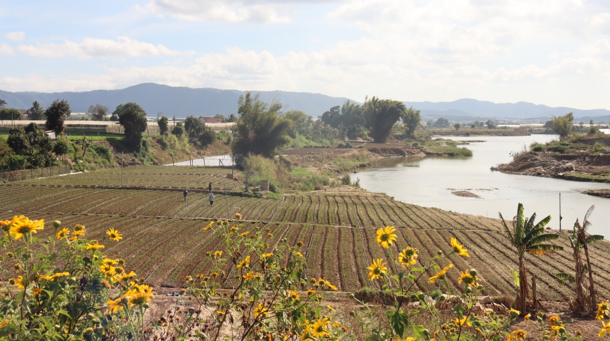 Añăm pơtăm mơtah mơda hơmâo glăi laih pơ Đơn Dương, tơring čar Lâm Đồng