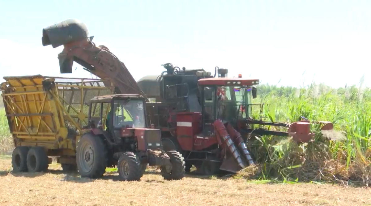 Koh pơhrui tơbâo hăng măi mok