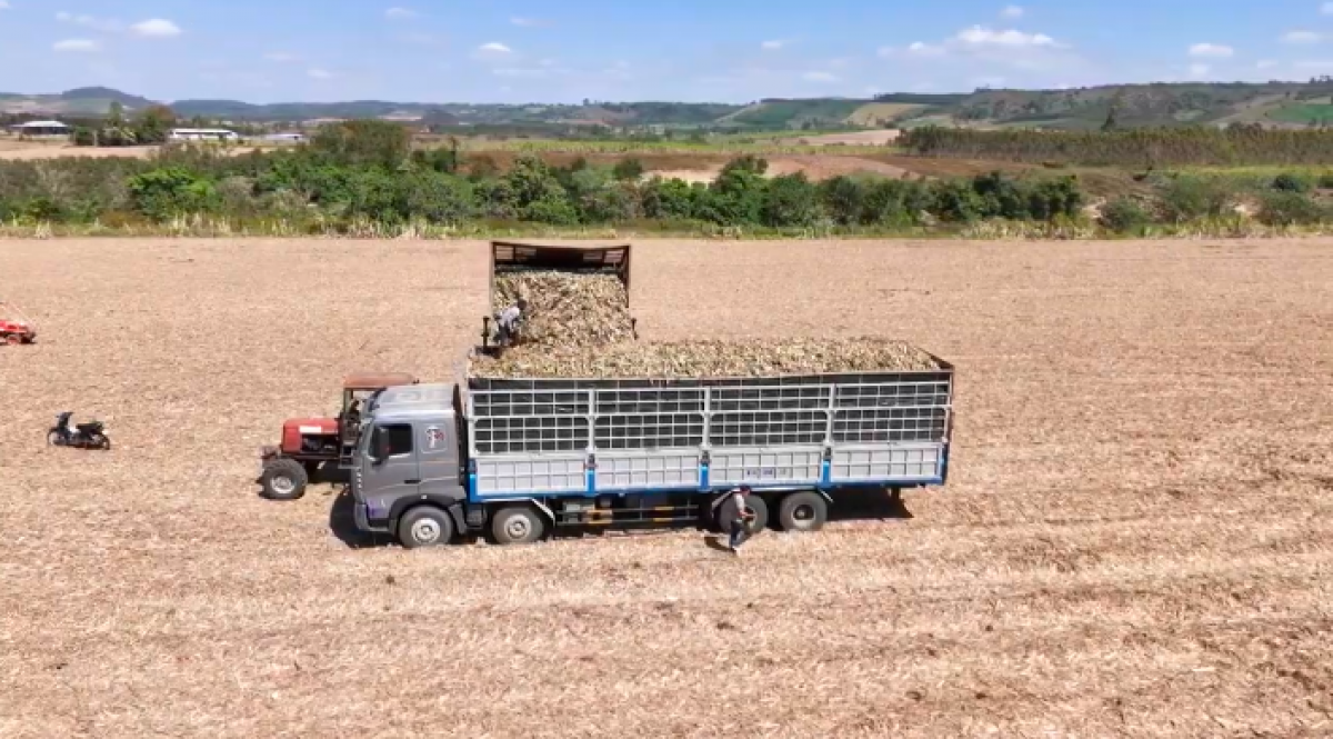 Kơpong ƀăng chiâk deăng kơtếo ki kân rơdâ a Gia Lai