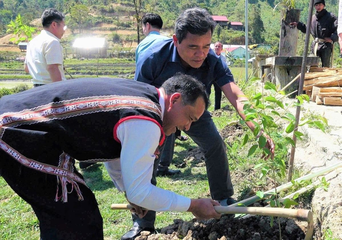 Bí thư Tỉnh ủy Quảng Ngãi Hồ Văn Niên trồng cây hoa mai anh đào tại Làng du lịch cộng đồng Vi Rơ Ngheo.
