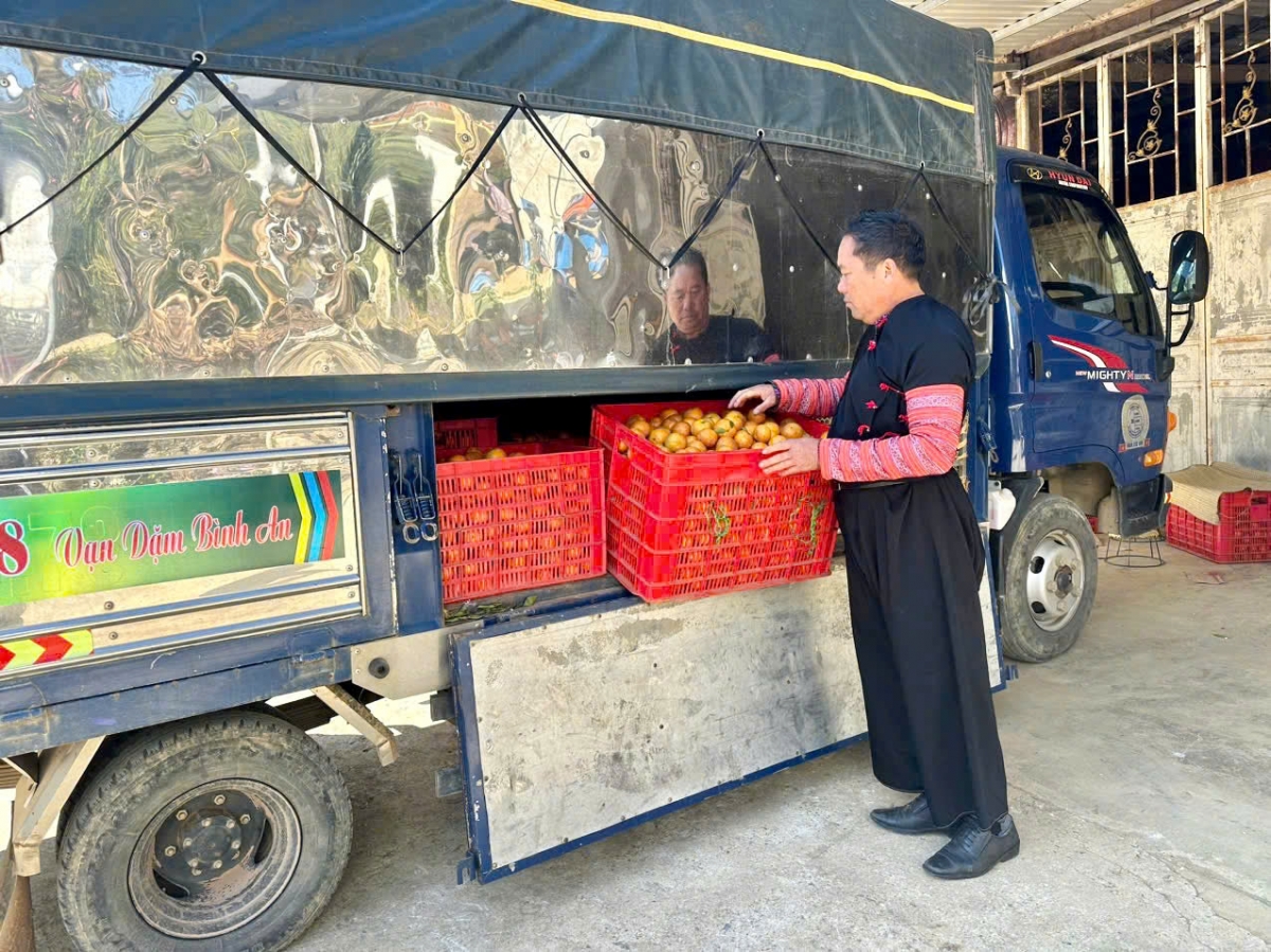 Tix lâuk Caoz đros yêz txir quýt nhiv kruôr đê tâu lok