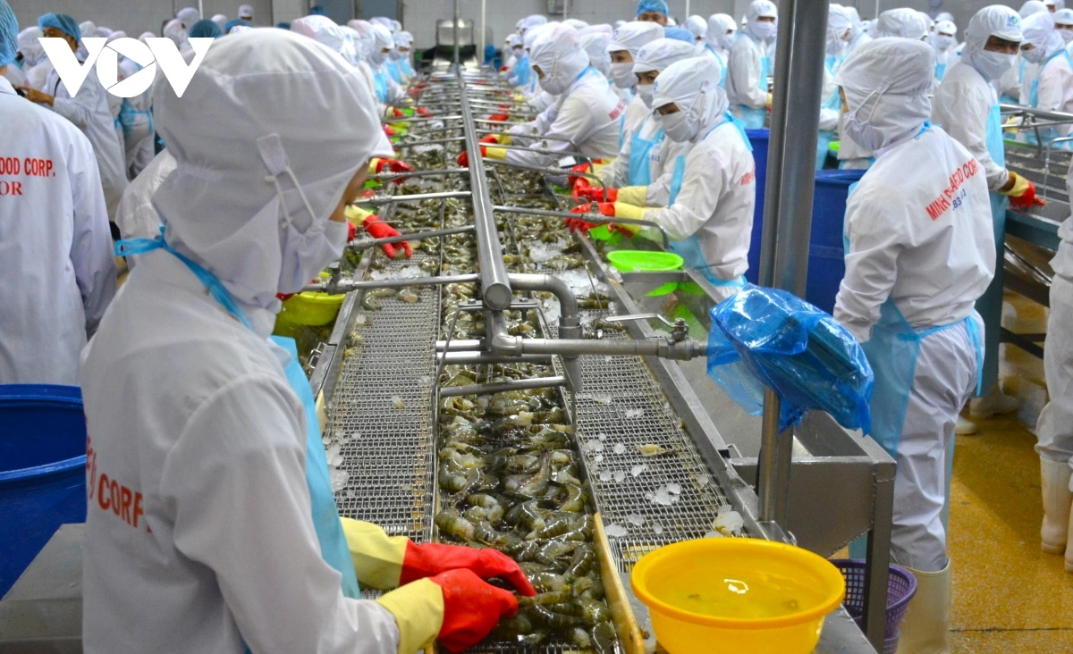 Ca Mau patagok kinh te dang sa urang brei tagok dua lek taka so