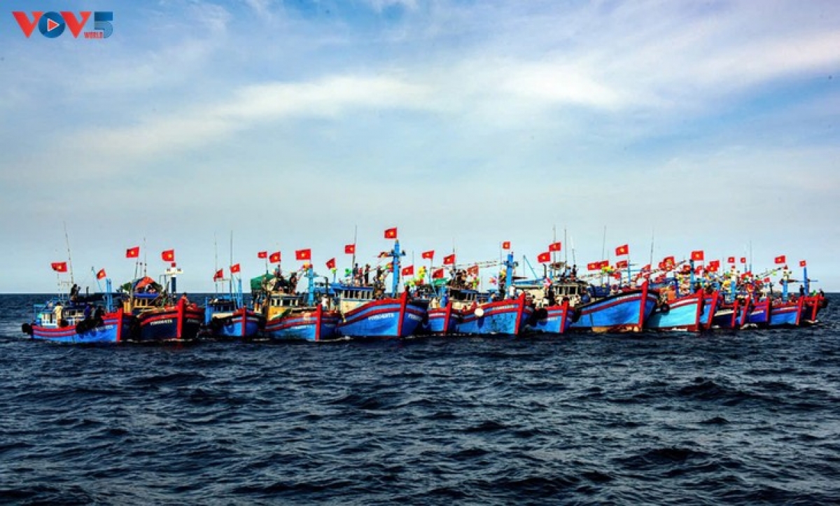 Kapul gilai di angaok tasik Hòa Hiệp 2