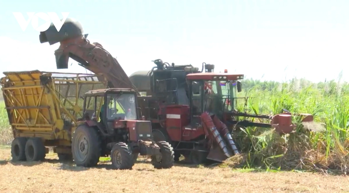  radaih kaoh tabau di mblang taneh