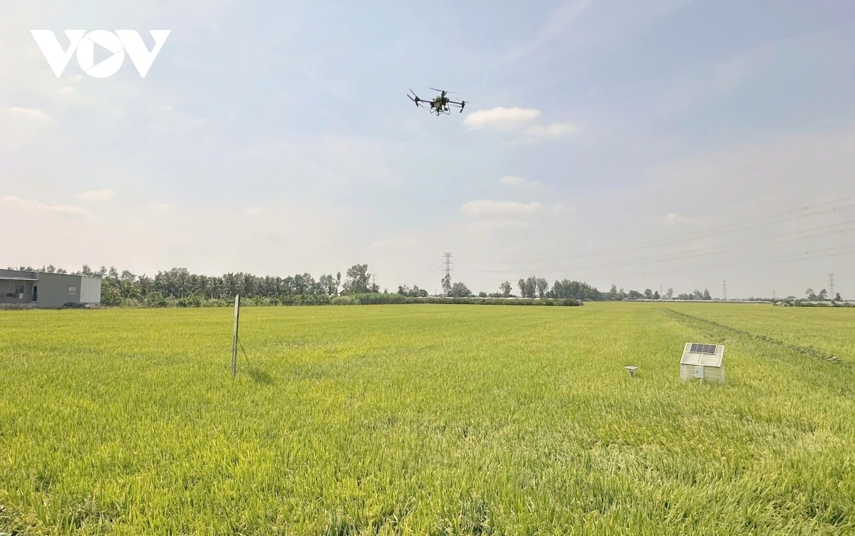 Pandar dron pruh jru di mblang hamu bhum taneran kraong Cuu Long