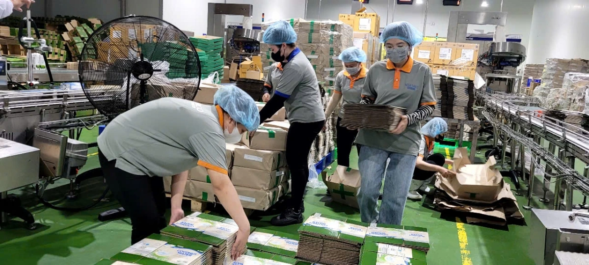 Dom gah ngak mbang pablei salih daok kham merat patakik jien buh tabiak, patrun yaom, paglaong bruk ngak