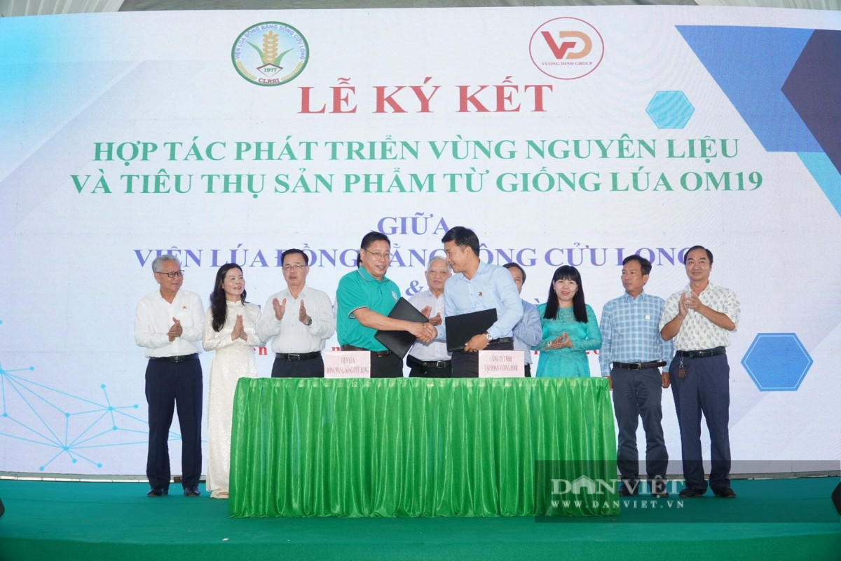 Jabat Padai bhum taneran kraong Cuu Long hu pambuak haong Hop tac xa Tiến Thuận saong Kongti TNNH Kapul Vương Đình dalam bruk pambuak pala drak saong pablei padai OM19