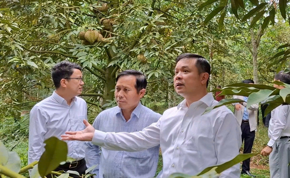 
Kơ iĕng Kơdră chĕp pơgơ̆r Đảng dêh char Đỗ Hữu Huy dăr lăng trong jang sâu riêng hơdơ̆k pơyan.