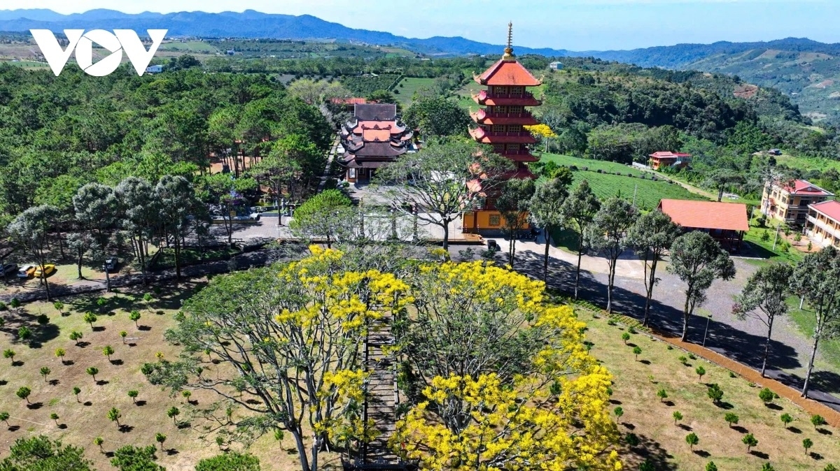 Bhum glong di Di Linh