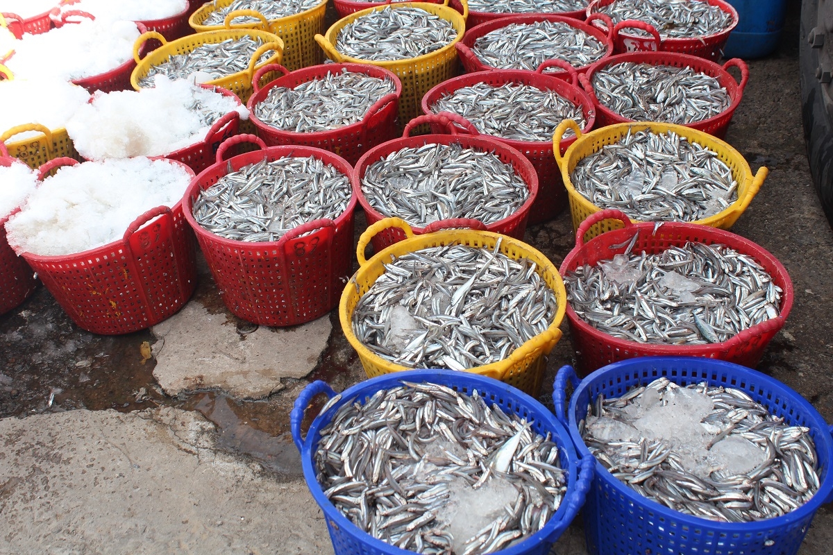 Kơthung kế xúa vâ păn ká