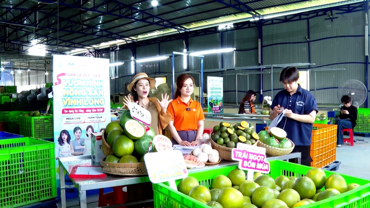 Giới trẻ Vinh Long giới thiệu trực tuyến sản phẩm quê nhà trên nền tảng số