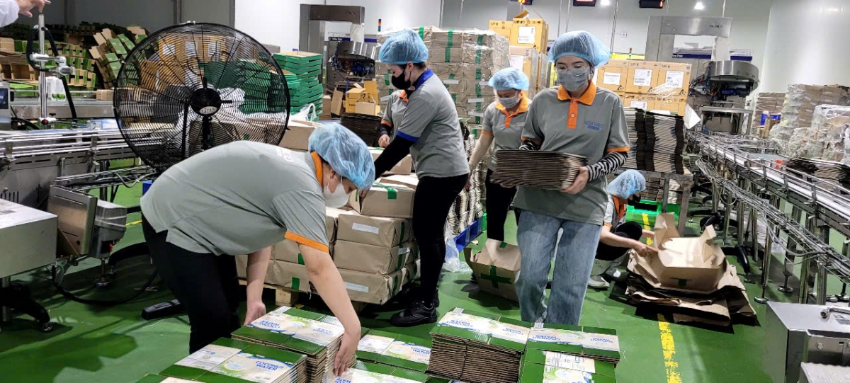 Công nhân của công ty THABICO làm việc trong điều kiện tiết kiệm chi phí không cần thiết, đảm bảo năng suất, chất lượng sản phẩm