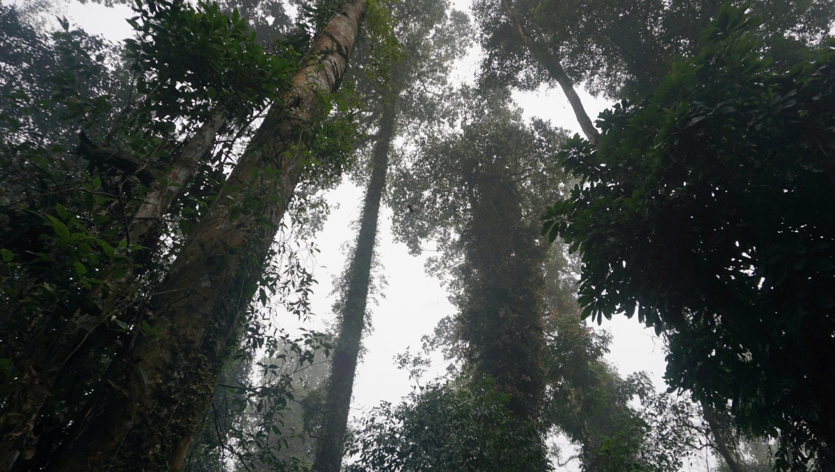 Ăp ntôr bri ta Nà Hẩu dơi mât ndray, nđĭr uĕh wăr năm