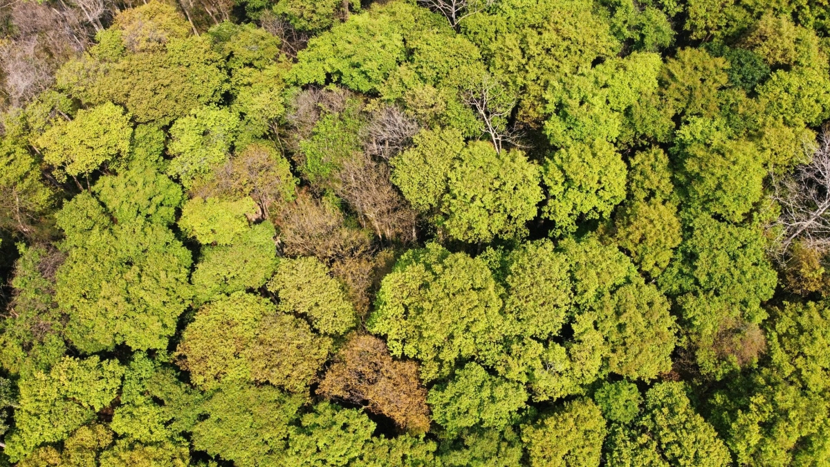 Si gle âk ntil ta Bri mât  gưl neh dak Chư Mon Ray