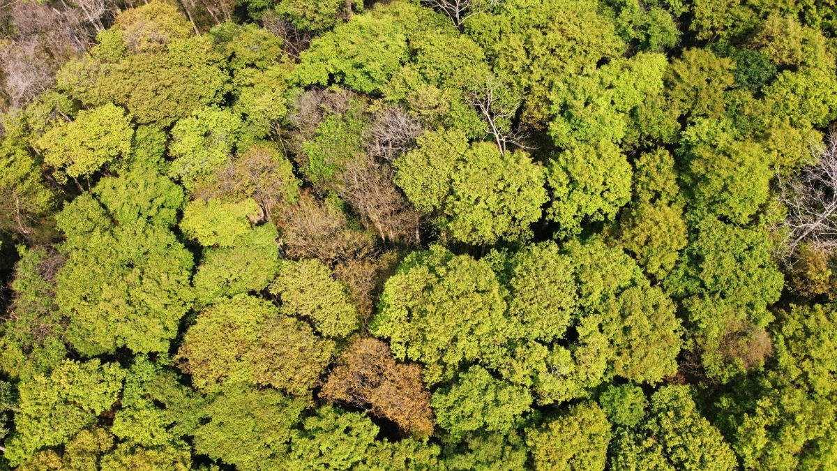 
‘Long ‘ngiĕt lơ kơ loăi lơ̆m bri Teh đak Chư Mon Ray. 