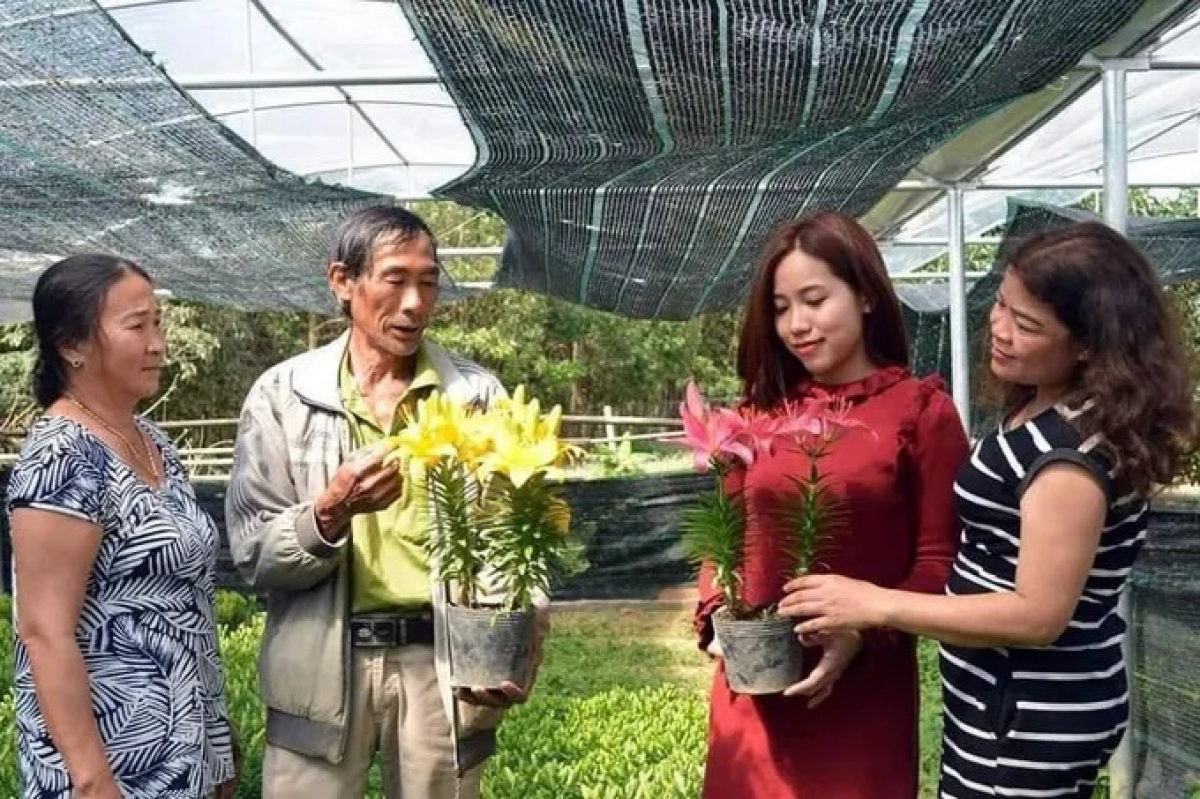 Thu nhập của người dân xã A Lưới 2, TP Huế không ngừng được nâng lên nhờ các mô hình sinh kế mới được triển khai từ Chương trình phát triển kinh tế - xã hội vùng đồng bào dân tộc thiểu số và miền núi