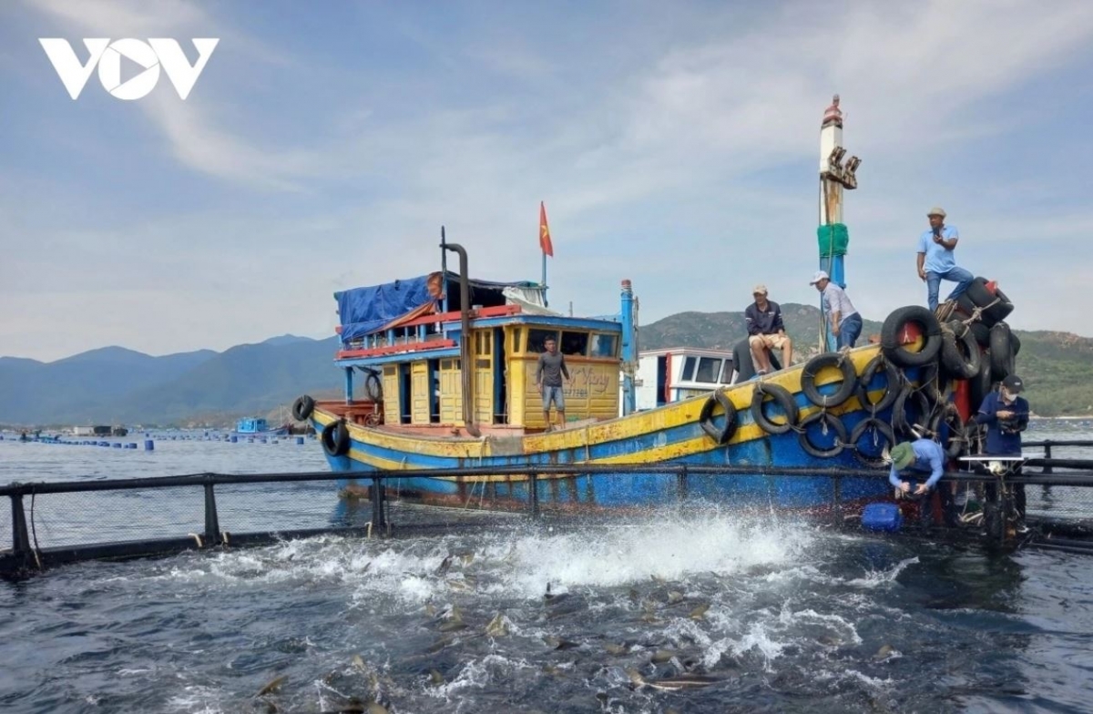 Kong pơlê Khánh Hòa mơdêk mơnhông cheăng kâ têa kơxĭ