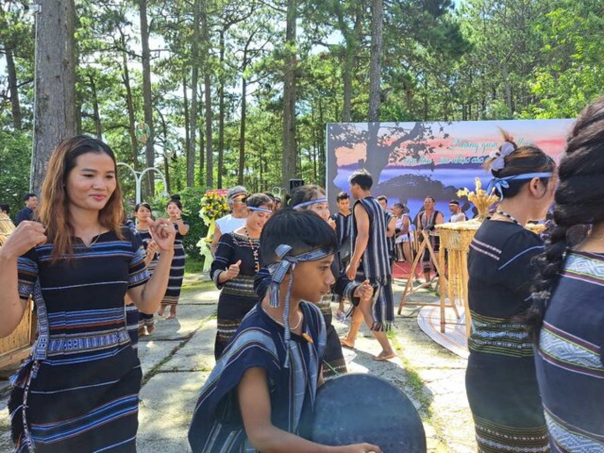 Rùp ai bơh tàm internet