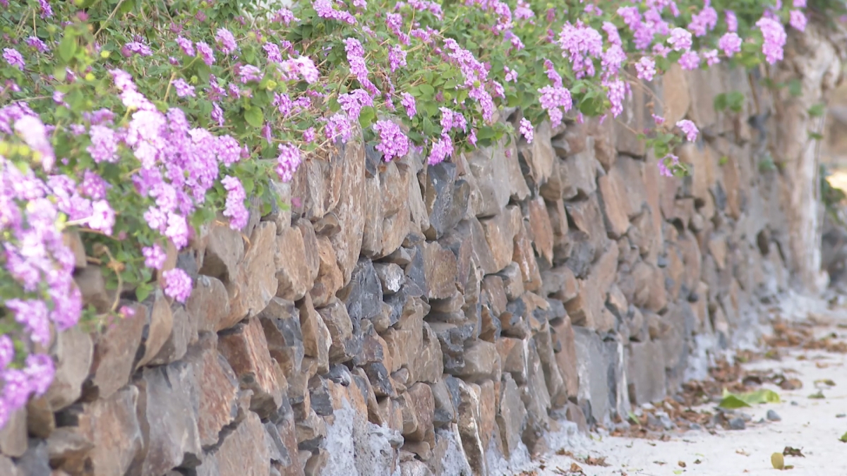 Mpêr n’gar lŭ dơi nkrơh yor nkao ngũ sắc
 