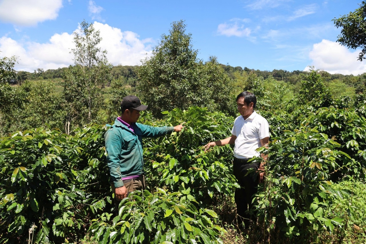 Nkuăl prêh Quảng Ngãi ƀư ueh nau dăng “nkuăl n’ik” gay hun hao tuch tăm, pâl n’aih