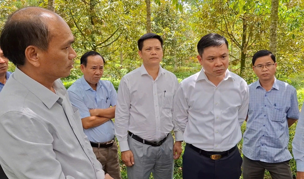 Ơi Vũ Văn Cẩn-khua anom bruă tuh pơ alin hơbô̆ bruă phrâo gah ieo, lăi nao kơ bruă tơnap sĭ mơdrô boh durian yua kơ tơlơi ngă gru mrô pơčrâo ba anih pla