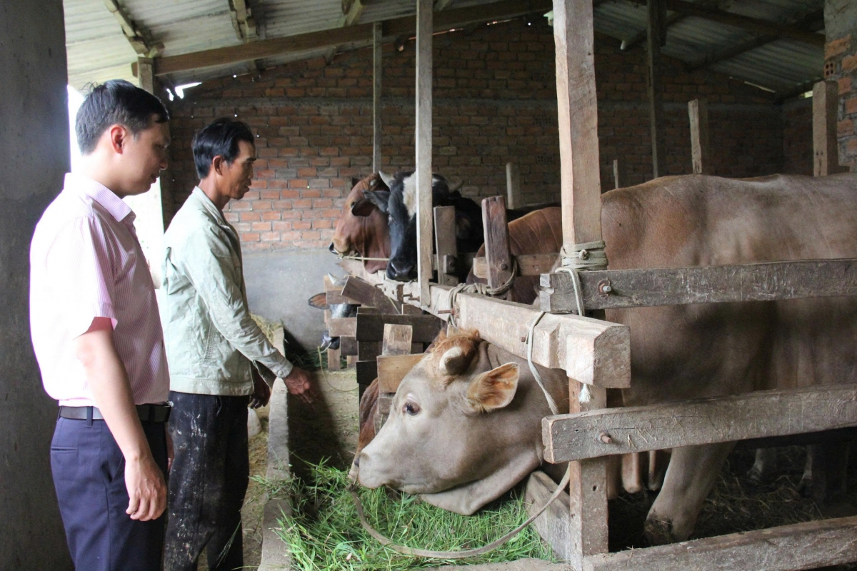 -Klei brei čan prăk pioh đru ba hlăm yang ƀuôn, čiăng kơ mnuih ƀuôn sang tlaih mơ̆ng klei dleh dlan.