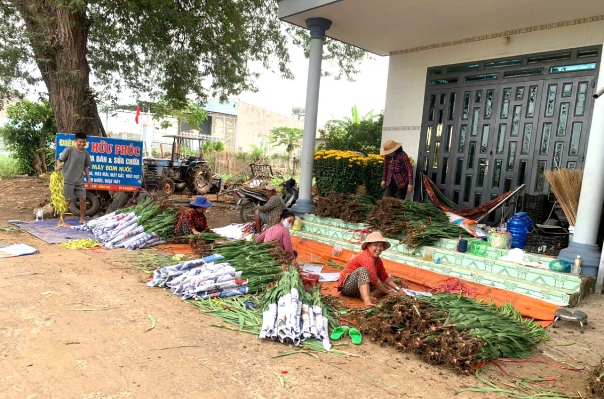 Bruk salih bahrau yaok harei di bangsa Chơ Ro