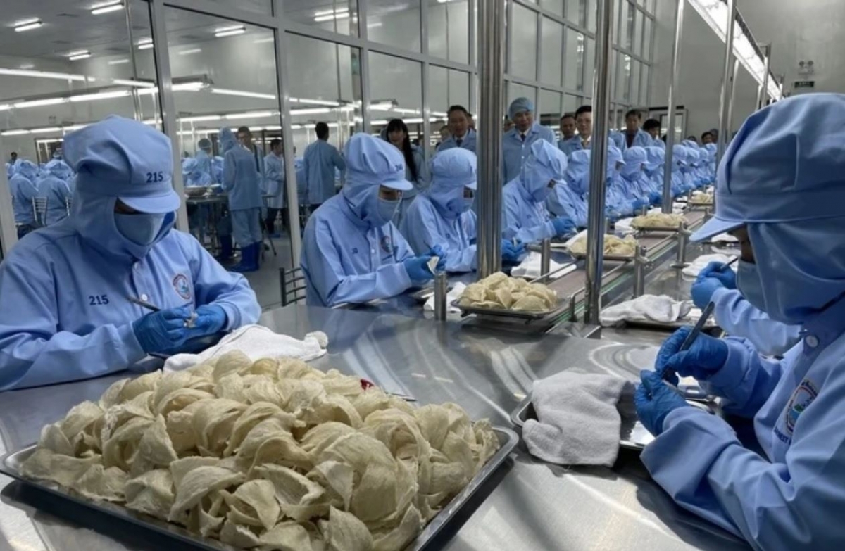 Yến sao Khánh Hòa mơdêk tê tơmeăm ngi kong têa ê