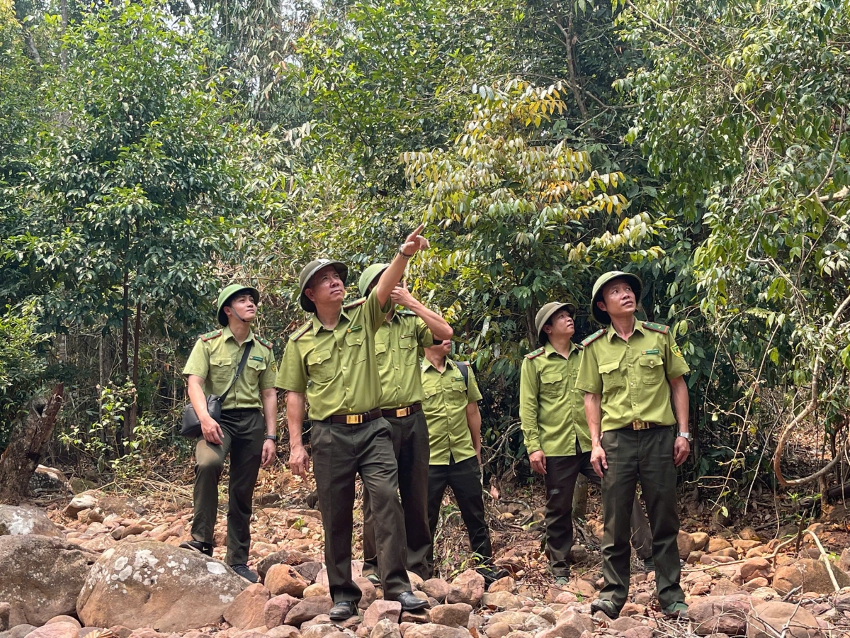 Cán bộ kiểm lâm khu vực XVI và rừng đặc dụng Xuân Nha (Sơn La) thực hiện tuần tra, bảo vệ rừng trong những ngày hanh khô