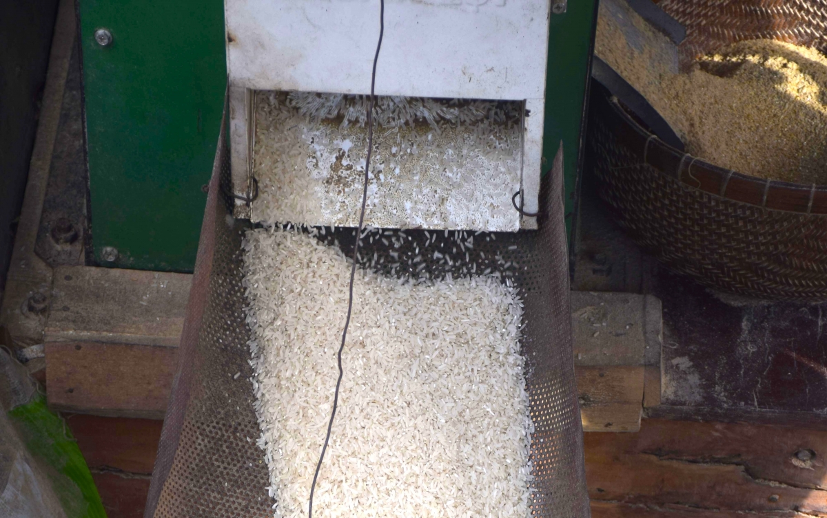 Mỗi bao lúa khoảng 50kg chà mất khoảng 15 phút