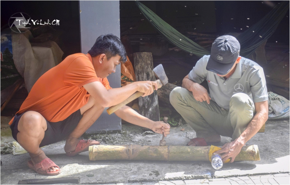 Nuôi ong dú trong ống tre là sự sáng tạo của hai thanh niên mê nuôi ong.