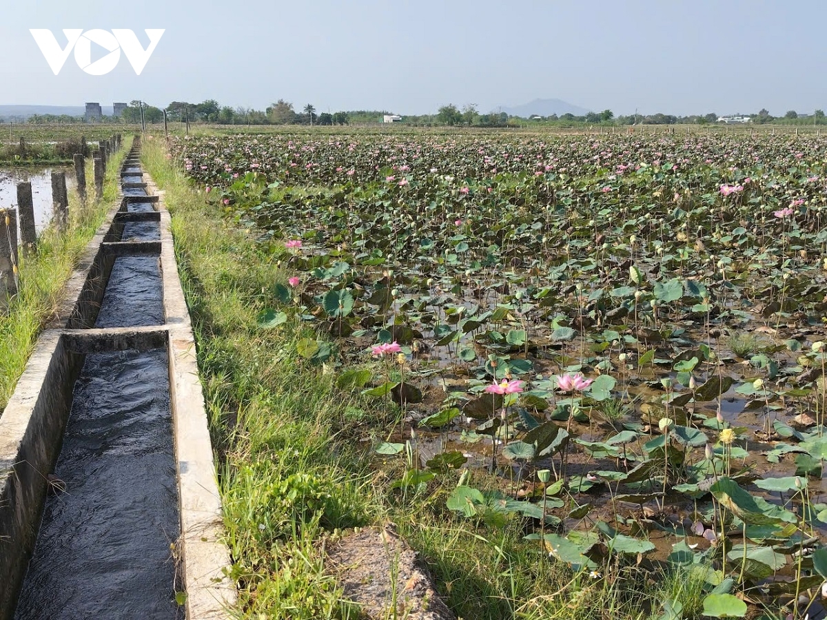 Xã Hồng Sơn, tỉnh Lâm Đồng