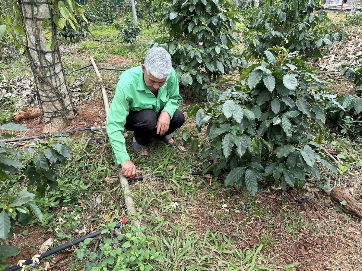 Khu kơmăi ki tôh têa hbri hbríu cho troăng hơlâ ki tơƀrê khât, tơtro ƀă kong tô mơdrăng khăng khoăng