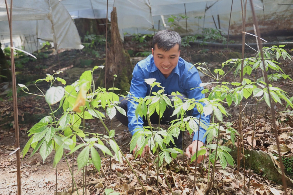 Ơruh pơnu sàh Măng Ri sơngka sền gàr kơnuh sơnơm Ngọc Linh