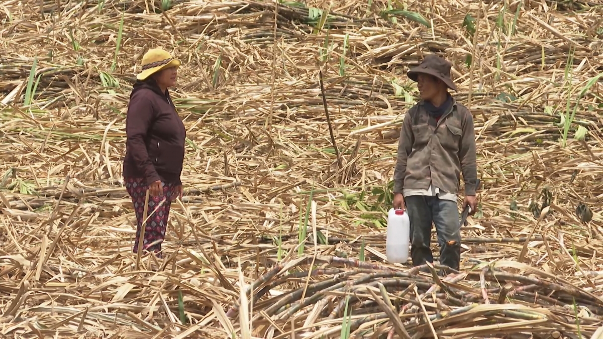Tào neh sreh gam lời tàm suơn kơ̆p nàng pơn diang