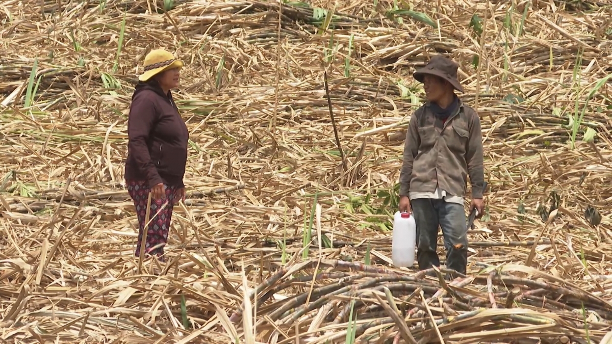 
Kơtao đĭ koh lê̆ tơ̆ mir gô chang gre chơ pơdŭ