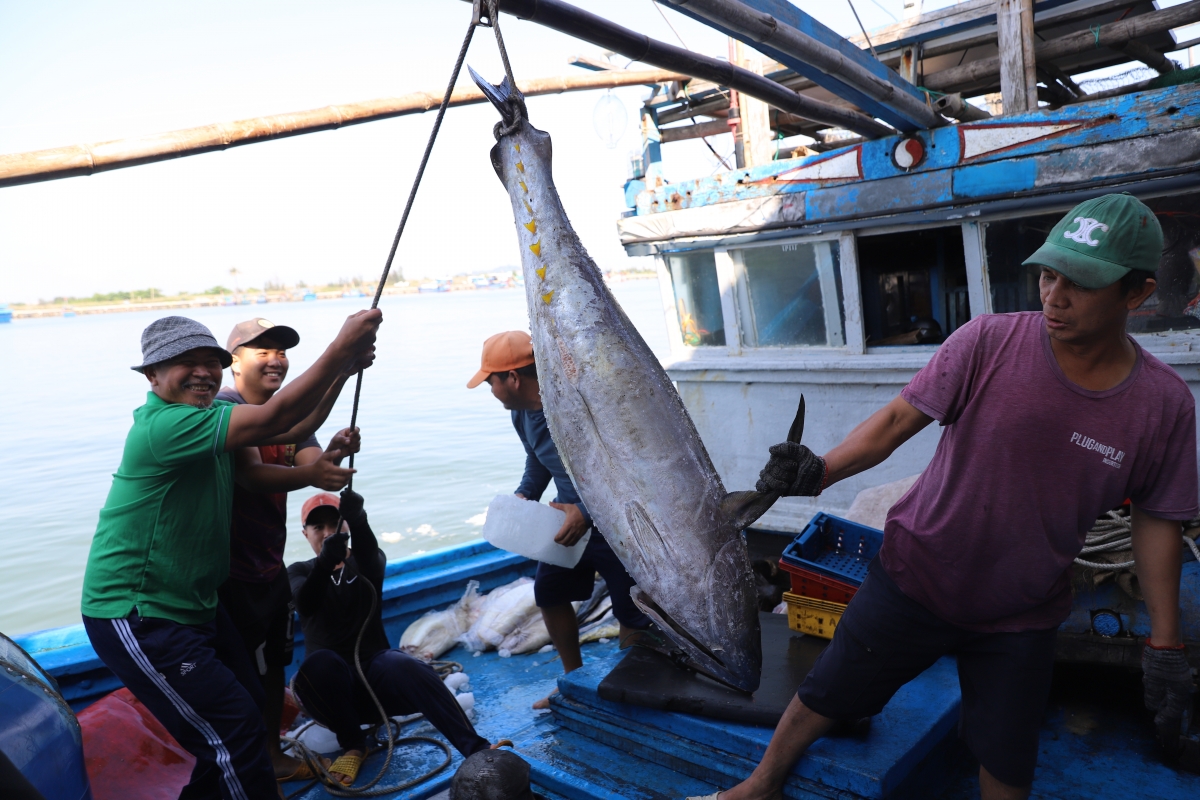 Aƀaơ dôl yan joi lơh ka ngừ đại dương âk ngăn