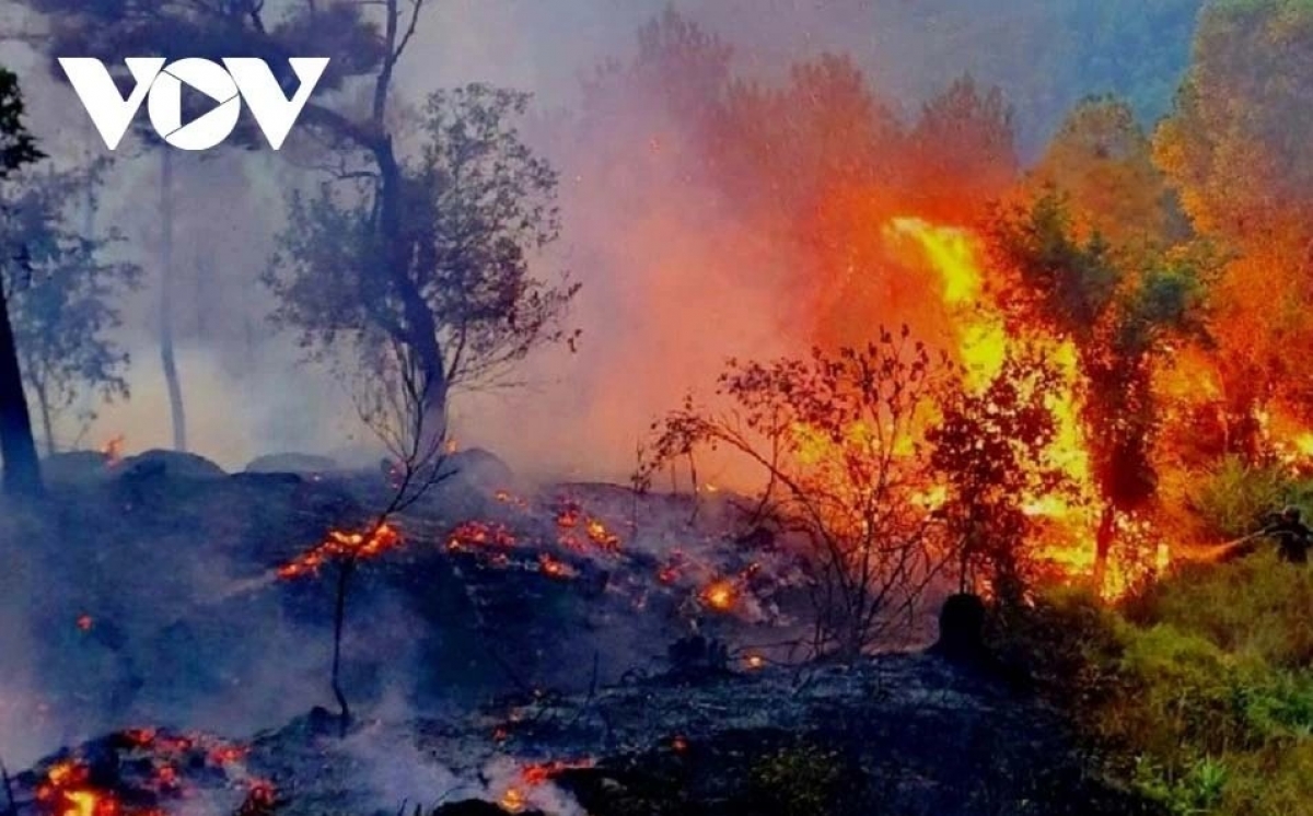Nắng nóng làm gia tăng nguy cơ cháy cháy rừng.