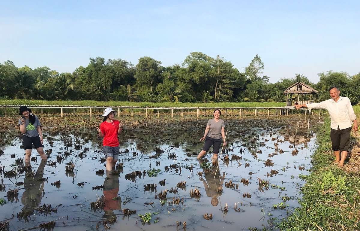 Di mblang hamu padai bilan di ong Tư Việt