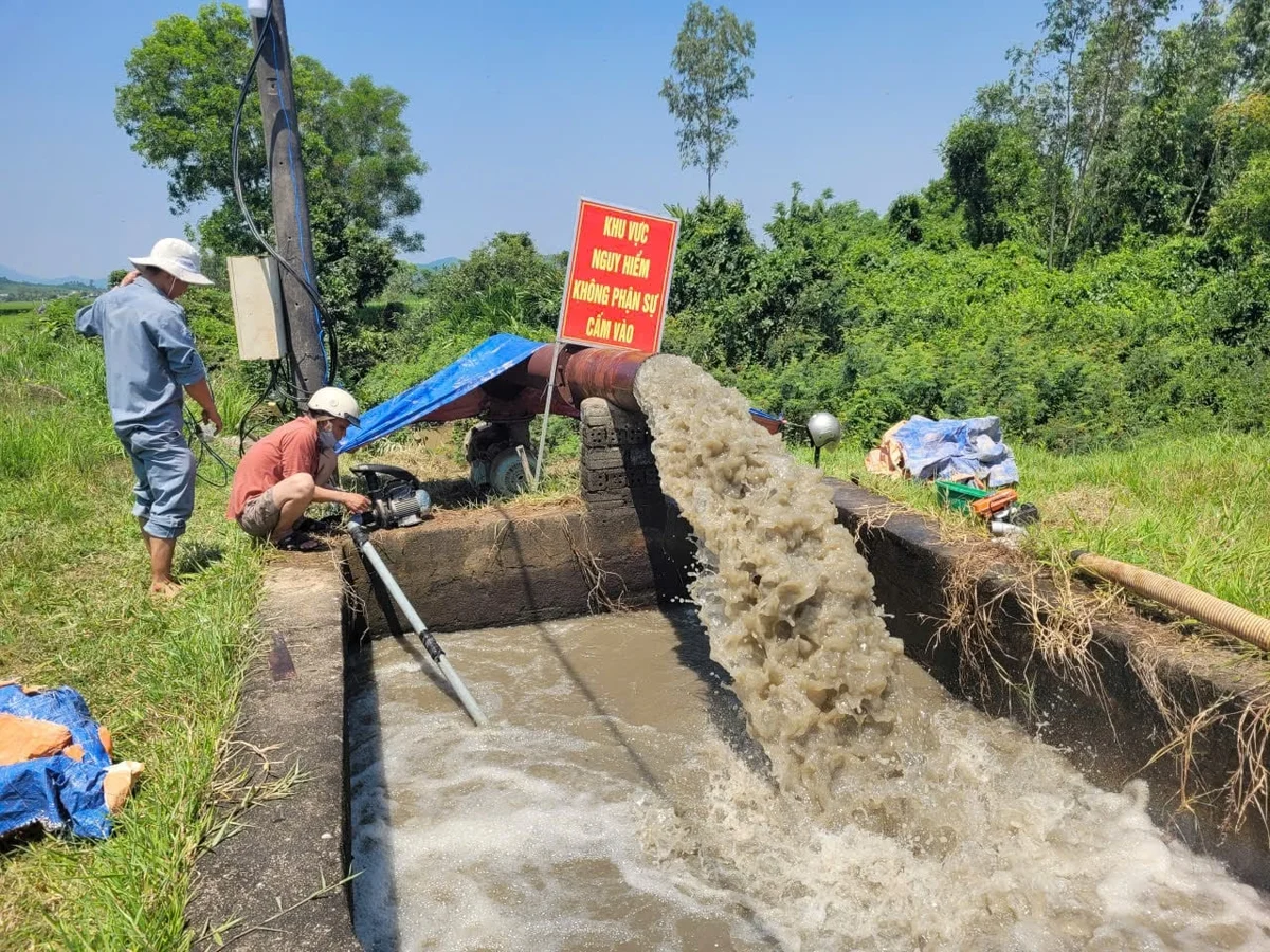 Kongti TNHH MTV Ramik caga Đồng Cam peih bruk njuk ia di puac ribaong piah khik kajap ka phun padai choh bangu