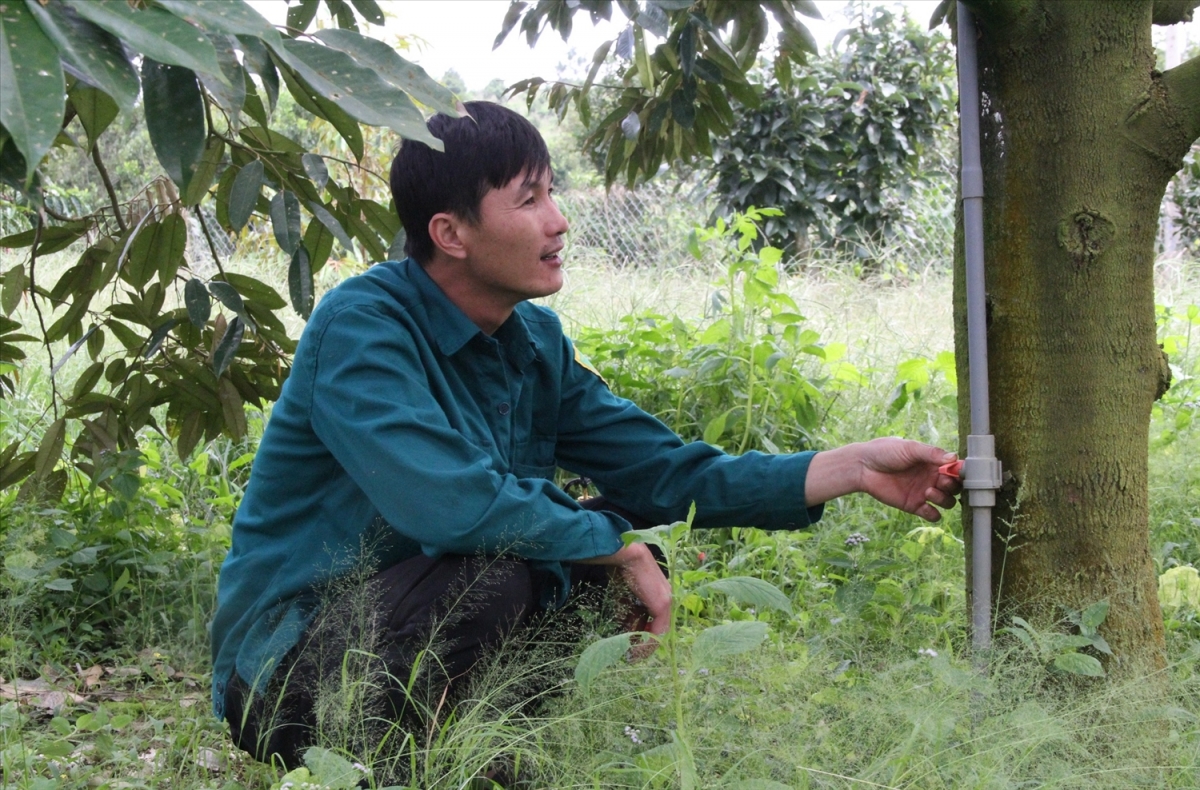 Lagaih hong yaom menyek urang ngak nong Tay Nguyen rah rah salih tapa tui tanjaoh ia, tui béc ala takai phun