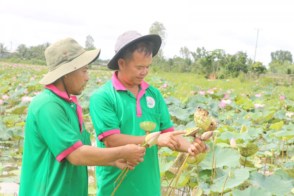 Ruak ngak matai phun, bluk taduk ngak ka bruk pala caraih oh hu lagaih