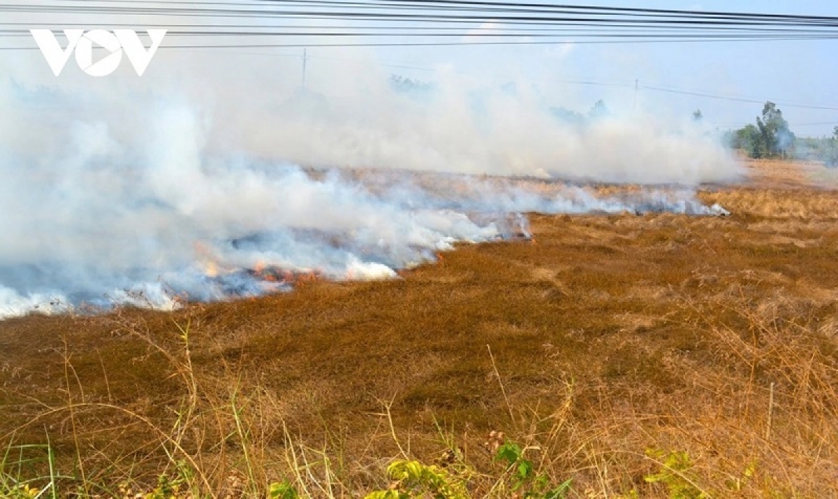 Juai cuh pong nerang ngak thak nerak